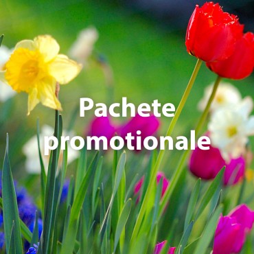 Pachete promotionale